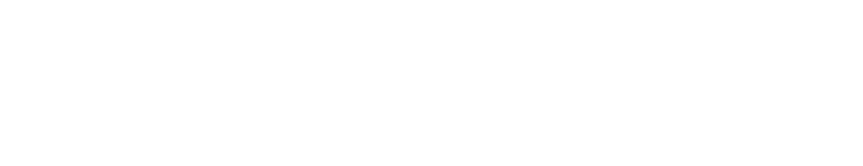 Style N Swag Logo (White)